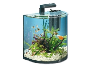 Tetra-AA-Explorer-LED-schwarz-60L