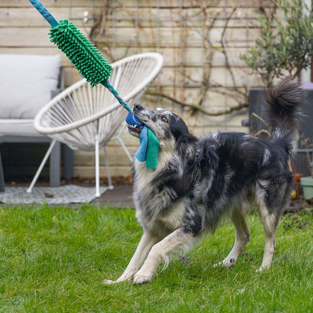 Bild 1 von Beeztees Hundespielzeug Kino + Ball - 90 x 10 x 6 cm