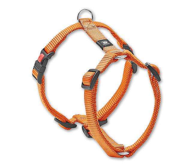 Bild 1 von Karlie ASP Geschirr - Orange  / (Variante) 25 mm, 65-100 cm