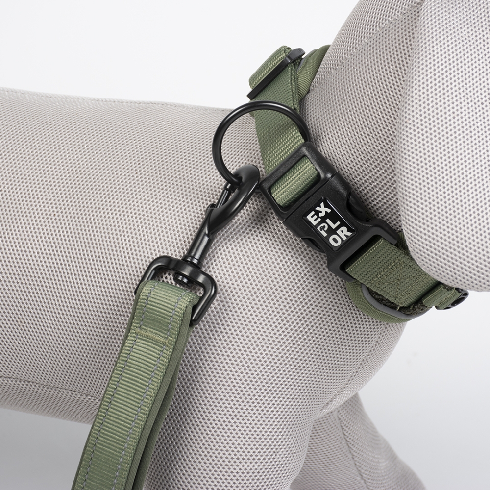 Bild 1 von Duvoplus EXPLOR Ultimate Fit Control Halsband Classic - undercover green