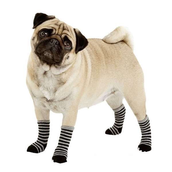 Bild 1 von Karlie Doggy Socks Hundesocken 4er Set - Schwarz/Grau