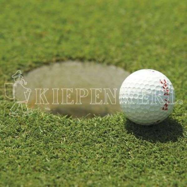 Bild 1 von Kiepenkerl RSM 4.1.2 Golfrasen Grün 5kg