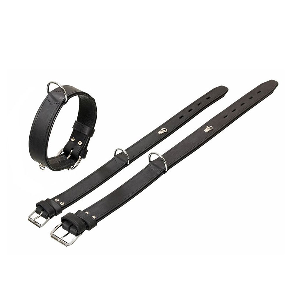 Bild 1 von Karlie Rondo Halsband mit Ring für Adresstube - Schwarz  / (Variante) 70cm/40mm