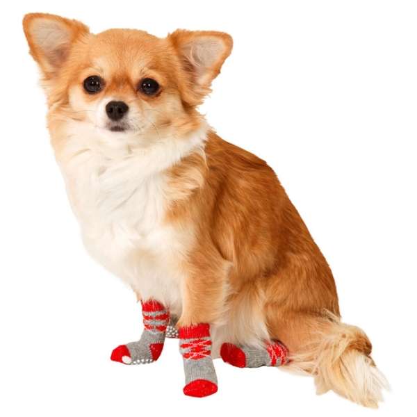 Bild 1 von Karlie Doggy Socks Hundesocken 4er Set - Rot/Grau  / (Variante) L