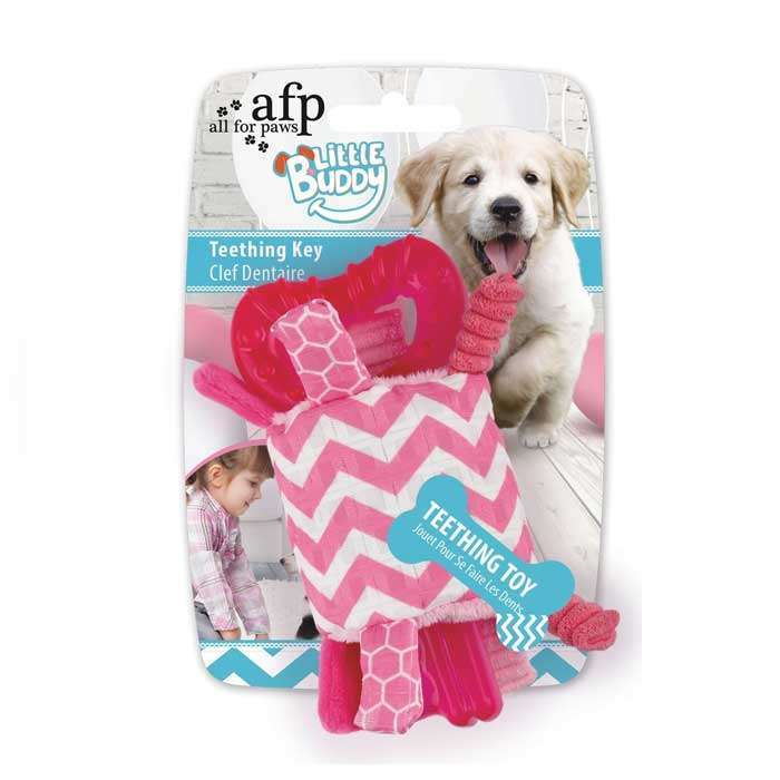 Bild 1 von All for Paws Little Buddy - Teething Key Rosa