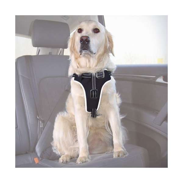 Bild 1 von Trixie Auto-Sicherheitsgeschirr Dog Protect