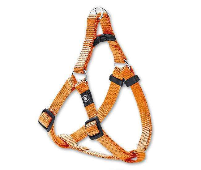 Bild 1 von Karlie ASP Step&Go Geschirr - Orange  / (Variante) 20 mm, 53-77 cm