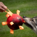 Bild 2 von Dog Comets Ball Hypernova  / (Variante) Orange