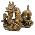 Bild 1 von Aqua Della Zodiac Drache
