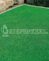 Kiepenkerl RSM 1.1.2 Zierrasen Fein 10kg