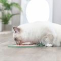 Bild 4 von Trixie Lick'n'Snack Matte Fisch für Katzen