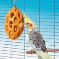 Bild 2 von Karlie BOOMER Bird NUT CASE