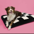 Bild 2 von Coockoo Hundekissen Cozy Block  / (Variante) 60x50x10cm