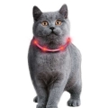 Bild 3 von Karlie Visio Light Cat LED-Schlauch mit USB - Pink