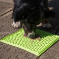 Bild 2 von Industripet LickiMat Buddy Large - Grün