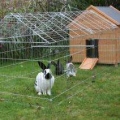 Bild 2 von Kerbl Freilaufgehege
