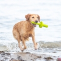 Bild 6 von Trixie Aqua Toy MOT®-Aqua