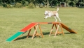 Bild 1 von Trixie Fun Agility Steg