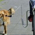 Bild 3 von Karlie Doggy Guide Führhalter für Fahrräder