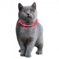Bild 3 von Karlie Visio Light Cat LED-Schlauch mit USB - Rot