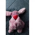 Bild 6 von Cozy Dog Bunny mit Herzschlag und Wärmekissen