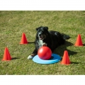 Bild 3 von PROCYON Dog Golf Set