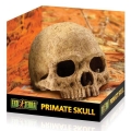 Bild 1 von EXOTERRA Primate Skull
