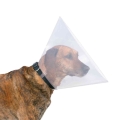Bild 1 von Trixie Schutzkragen aus Kunststoff