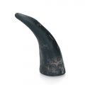 Bild 2 von Viking Whole Horn  / (Variante) L