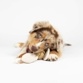 Bild 4 von D&D Hundespielzeug Jule - sand  / (Variante) 37x6,5x6,5cm