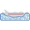 Bild 4 von Trixie Vital Bett Jonna - creme  / (Variante) 120 × 80 cm