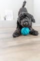 Bild 3 von Trixie Super Strong Ball  / (Variante) 6 cm