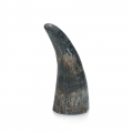 Bild 1 von Viking Whole Horn  / (Variante) M