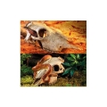 Bild 2 von EXOTERRA Buffalo Skull