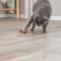 Bild 6 von Trixie Cat Activity Snack Maus - 9 cm