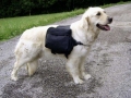 Bild 1 von Kerbl Hunderucksack GLOBETROTTER