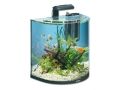 Tetra AA Explorer LED schwarz 60L