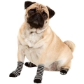 Bild 5 von Karlie Doggy Socks Hundesocken 4er Set - Schwarz/Grau  / (Variante) S