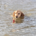 Bild 8 von Trixie Aqua Toy Snack-Boje am Seil