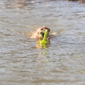 Bild 3 von Trixie Aqua Toy MOT®-Aqua