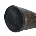 Bild 5 von Viking whole Horn solid  / (Variante) L