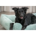 Bild 2 von Trixie Vital Bett Jonna - salbei  / (Variante) 60 × 50 cm