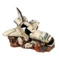 Bild 1 von Aqua Della Raumschiff  / (Variante) L 24,9x19x18,2CM