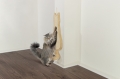 Bild 3 von Trixie Kratzbrett KATZE