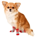 Bild 4 von Karlie Doggy Socks Hundesocken 4er Set - Rot/Grau  / (Variante) XS