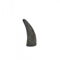 Bild 3 von Viking whole Horn solid  / (Variante) L