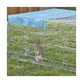 Bild 2 von Kerbl Freigehege mit Ausbruchsperre