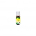 cdVet Abwehrkonzentrat mild Hund 10 ml