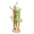 Bild 2 von Aqua Della Bambusornament  / (Variante) S 8x6,5x13,5cm