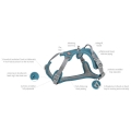 Bild 4 von Trixie Premium Active Geschirr - petrol